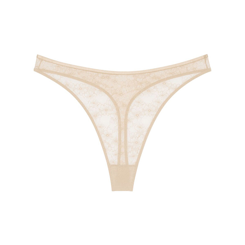 Triumph Bright Spotlight - Creamy Dream - 10216476-6720