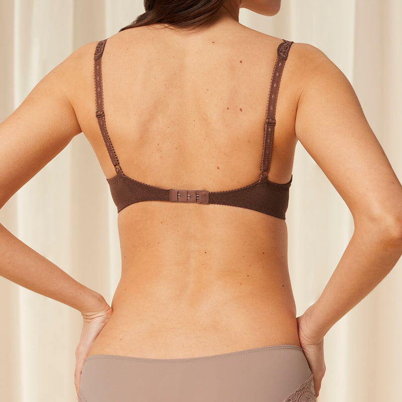 Triumph Amourette 300 WHP - Cocoa Sugar - 10166798-1987